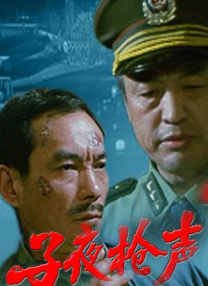 成人国内精品久久久久影